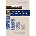 Dialectic of Enlightenment (Cultural Memory in the Present)