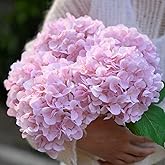 IPLNTS 5 Pcs Faux Silk 18.5" Pink Hydrangea Artificial Flowers, Fake Flowers with Stems, for Wedding Bouquets Home Decor Party Christmas Centerpiece