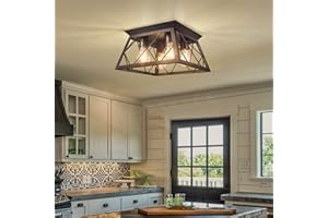 FadimiKoo Flush Mount Ceiling Light Fixtures for Kitchen Hallway, 4-Light Close to Ceiling Lighting, Industrial Farmhouse Square Cage Ceiling Lamp for Dining Room, Living Room, Bulb Not Included