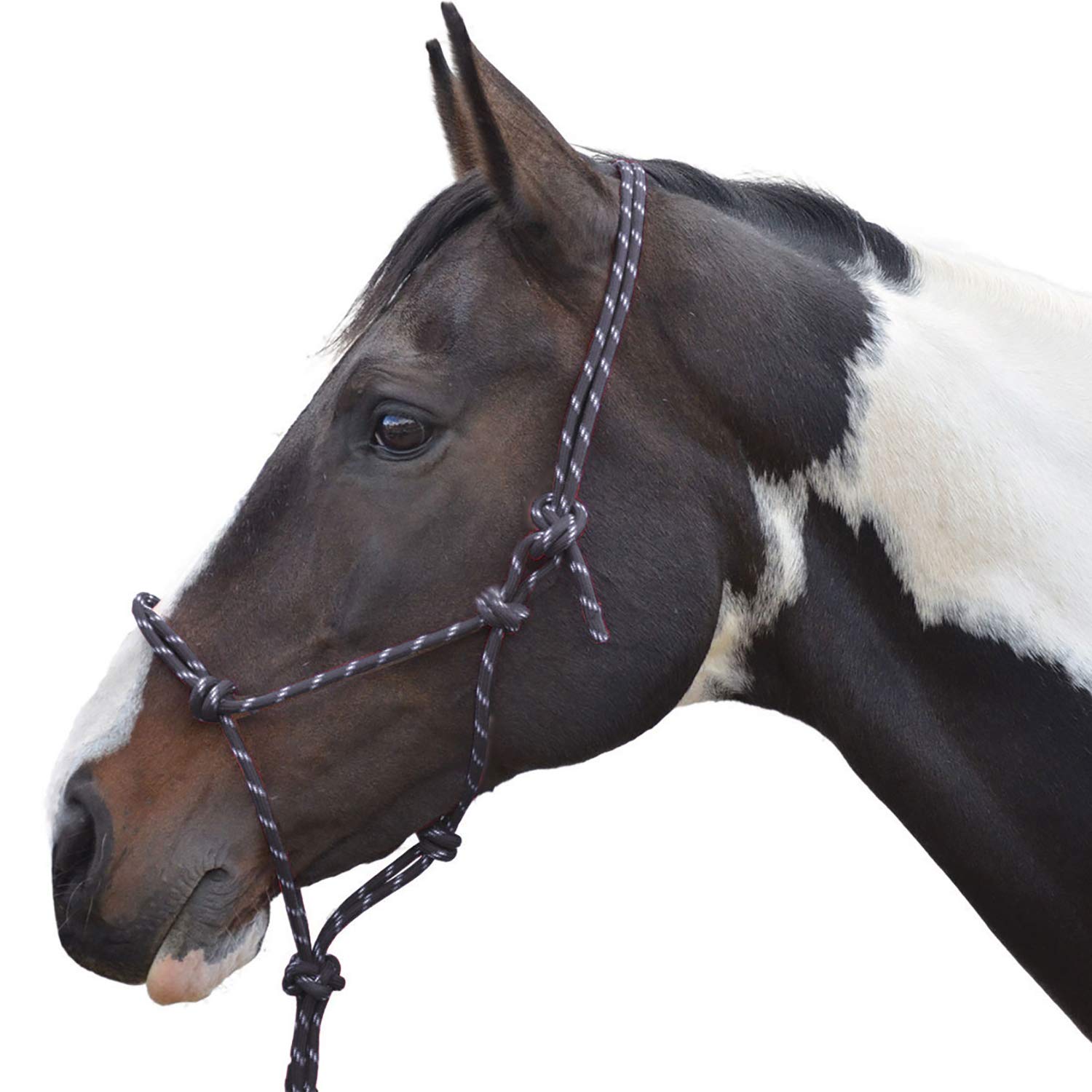 Y-H Hy Rope Halter Black Cob/Full
