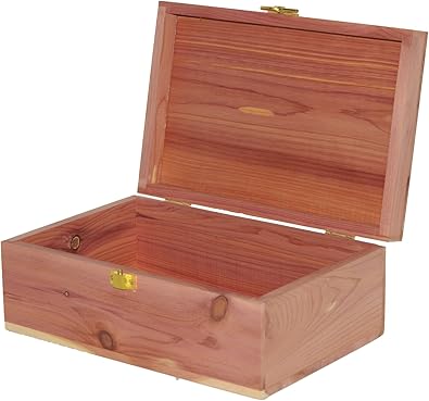 Madera de Cedro Caja de almacenaje para el Mantenimiento: Amazon.es: Zapatos y complementos