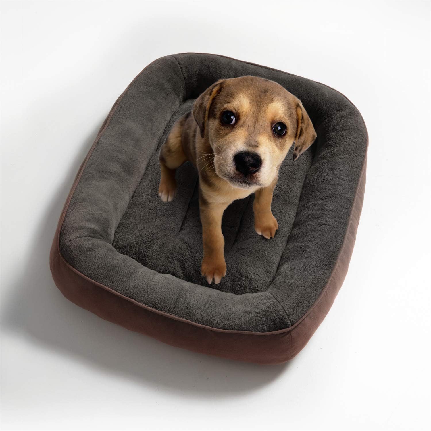 Bedsure Plush Dog Bed Medium Size Machine Washable Pet Bolster Bed for