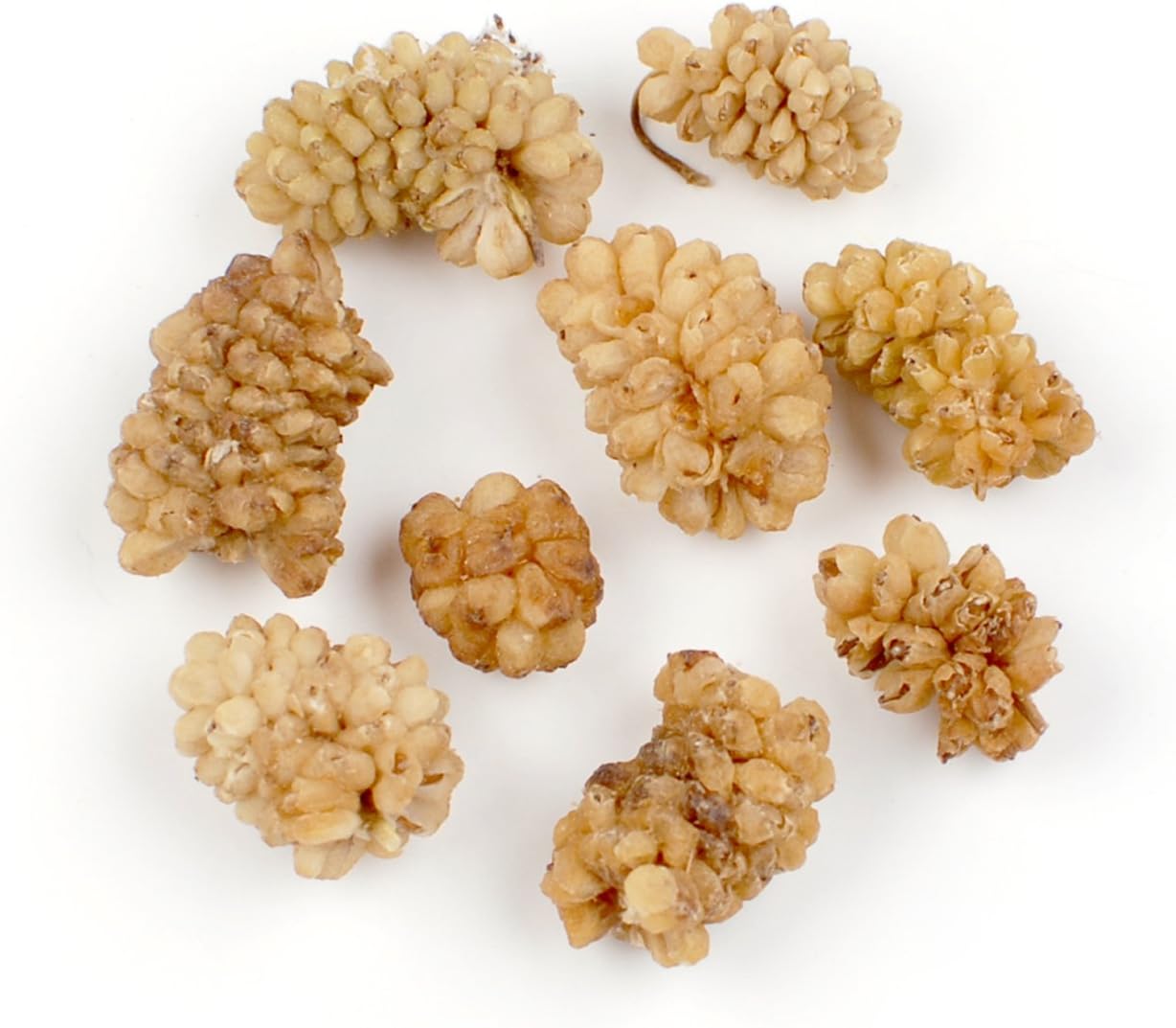 Dried Mulberries, 30 Lb Bag