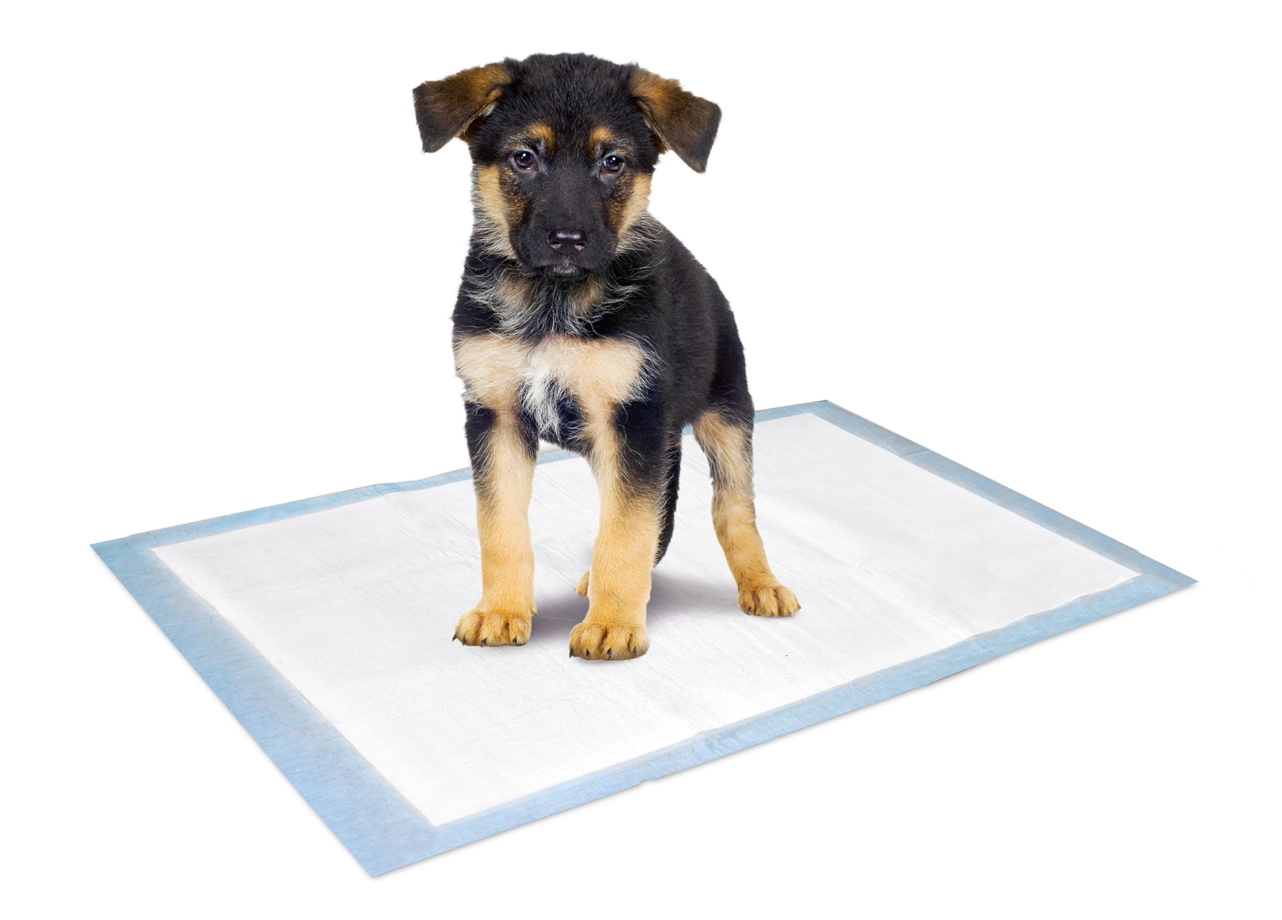 Karlie Flamingo Puppy Pads Trainingspat, 60 x 40 cm โ image 1