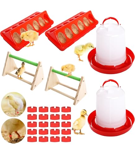 Küken-Starter-Set – Mit Futterautomat, Tränke, Sitzstange Für Bis Zu 24 Küken