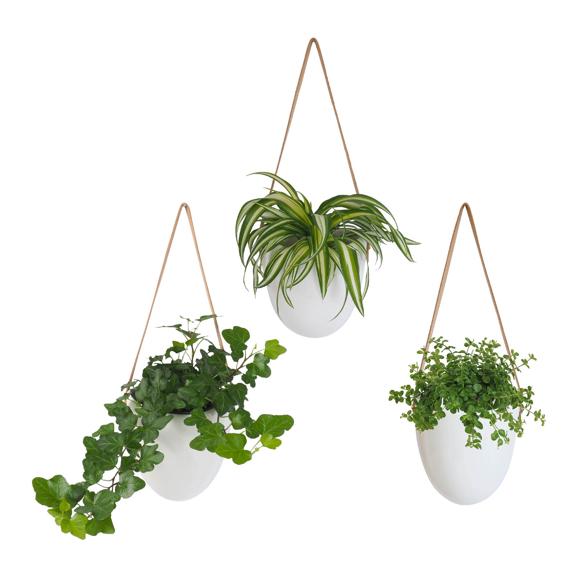 Gadgy Ceramic Plant Hanger Set of 3 – White Hanging Pots with 3 Different Rope Styles and Storage Bag | Indoor and Outdoor Garden Décor, Space-Saving Plant Display