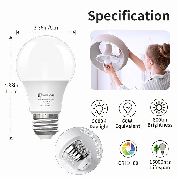 EVELOR A19 LED LIGHT BULBS,60 WATT EQUIVALENT DAYLIGHT 5000K WITH E26 BASE,EFFICIENT 9W,800 LUMENS NON-DIMMABLE LED BULBS,15000 HOURS, IDEAL FOR BEDROOM LIVING ROOM, 4-PACKS