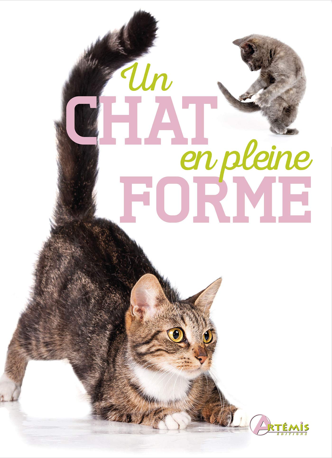 Un Chat En Pleine Forme French Edition Balzer Loth Amazon Com Books
