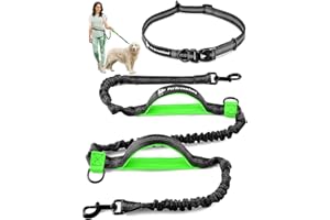 PET DREAMLAND Exquisite Hands-Free Dog Leash: Perfect for Active Pet Owners Comfortable, Durable & Ideal for Running, Walking, Hiking. Premium Large Dog Waist Leash with Bungee. Must-Have Dog Gear