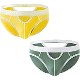 ZONBAILON Sexy Mens Briefs Cutout Underwear Low-Rise Comfortable Pouch Brief S M L XL 2XL