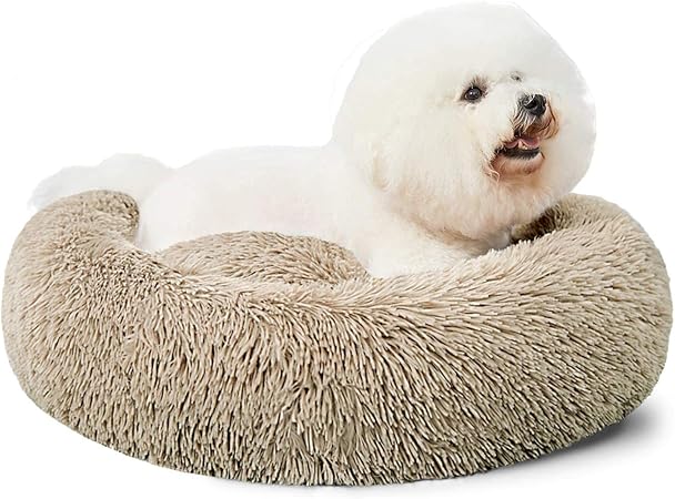 fluffy dog pillow