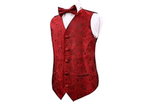 Alizeal Boys 2pcs Classic Paisley Bow Tie and Suit Vest Set