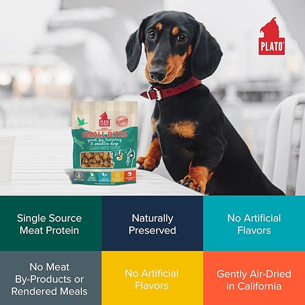 PLATO SMALL BITES DUCK 2.5OZ, 850002221107, 850002221107, 850002221107, 850002221107