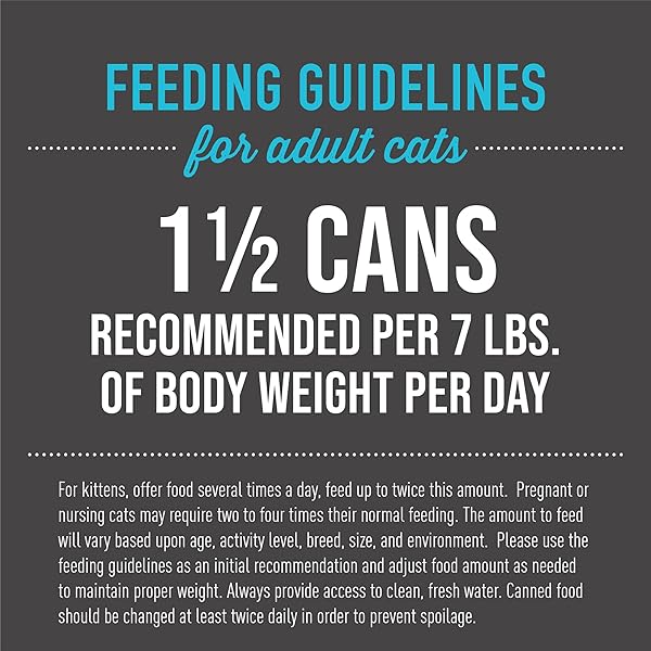 TIKI CAT AFTER DARK, CHICKEN & QUAIL EGG, HIGH-PROTEIN AND 100% NON-GMO INGREDIENTS, WET CAT FOOD FOR ADULT CATS, 5.5 OZ. CAN