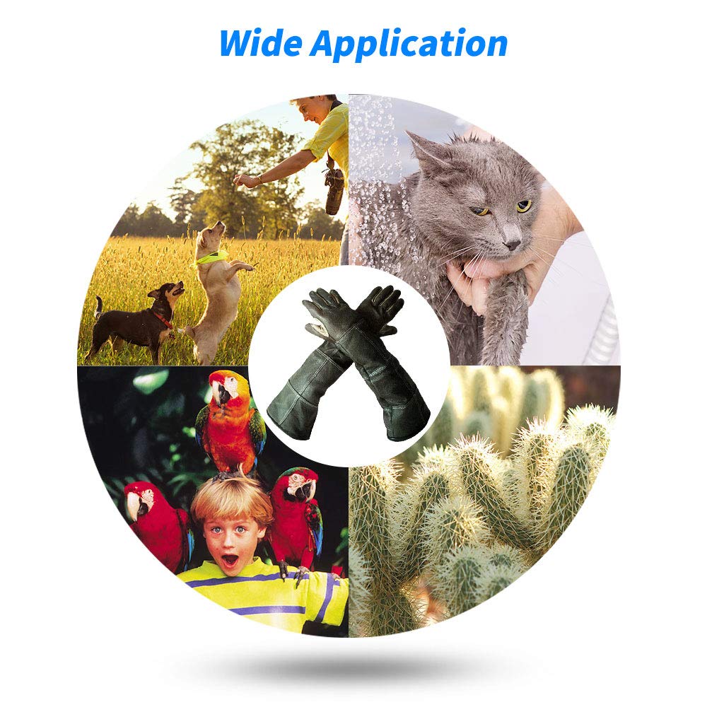 parrot training gloves