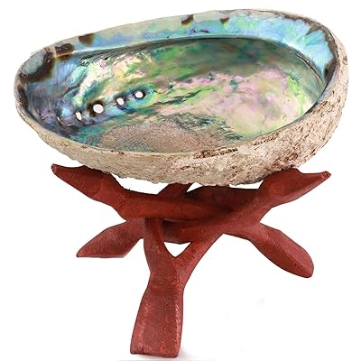 Ocean Shell Studios Premium Natural Abalone Shell Extra Large 6"- 6.5" with Wooden Stand, for Smudging, Cleansing Home, Meditation, Shell Crafts, Home D&eacute;cor, 100% Natural, Gift Box