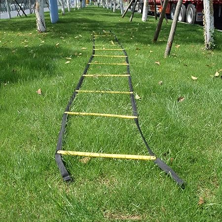 functional training ladder