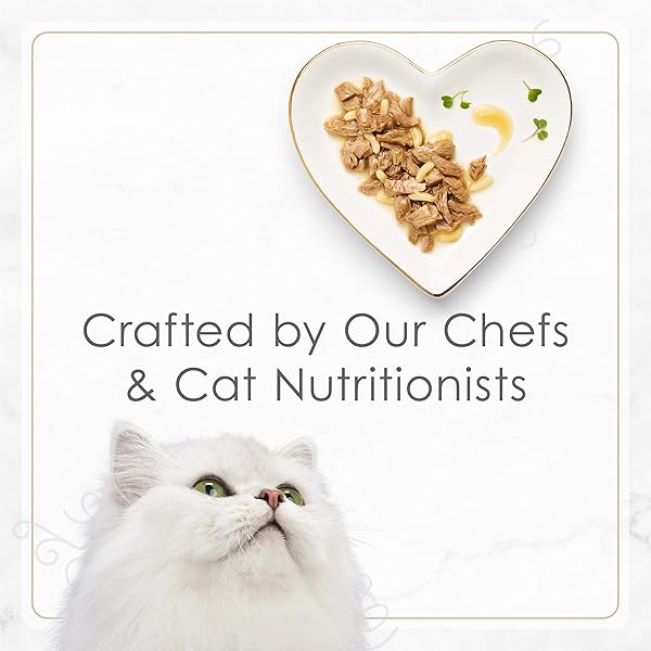 PURINA FANCY FEAST GOURMET WET CAT FOOD VARIETY PACK, PETITES GRAVY COLLECTION, BREAK-APART TUBS, 24 SERVINGS – (PACK OF 12) 2.8 OZ. TUBS