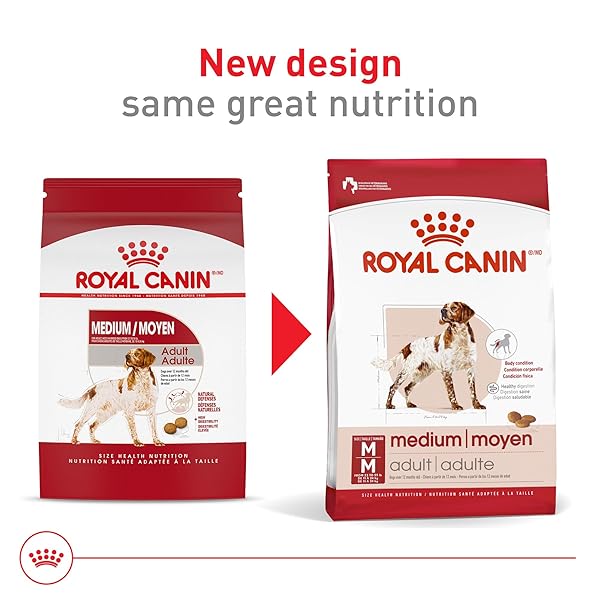 ROYAL CANIN SIZE HEALTH NUTRITION MEDIUM ADULT DRY DOG FOOD, 4 LB BAG