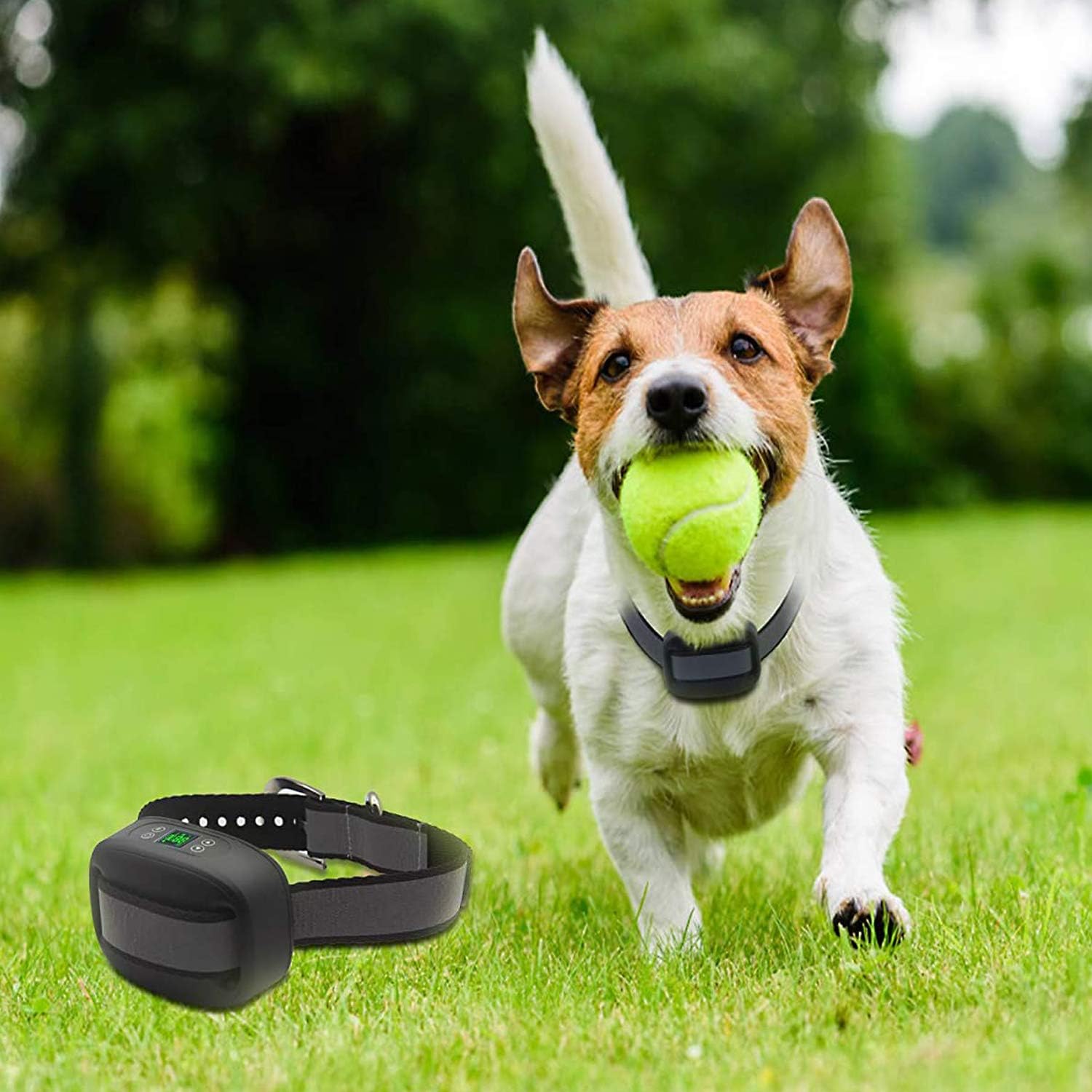 LSM GPS Wireless Dog Fence System,Inground/Aboveground Pet Containment