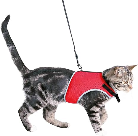 Trixie Parure Pour Chat Harnais Et Laisse Extensible Coloris Assortis Amazon Fr Animalerie