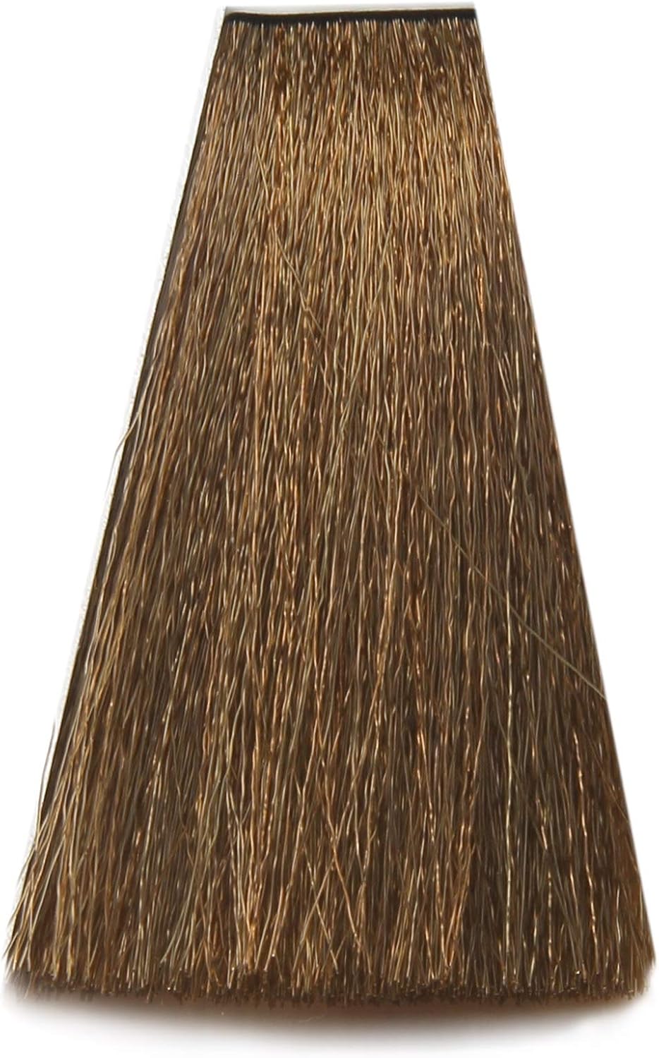 Arual Dye No 6.81 Dark Blonde Brown Ash 1 Unit 80 g, 60 ml (Pack of 1)