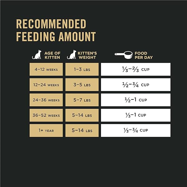 PURINA PRO PLAN WITH PROBIOTICS, HIGH PROTEIN DRY KITTEN FOOD, SHREDDED BLEND CHICKEN & RICE FORMULA – 3 LB. BAG