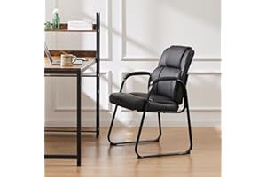 DUMOS Leather Guest Chair,Waiting Room Chairs with Sled Base Padded Arm Rest for Meeting Conference Office Home