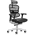 Ergohuman Eurotech LEM4ERG Executive High Back Mesh Office Chair with Leather Seat - Tilt Tension Control, Tilt Lock, Back Angle & Height, Synchro Tilt, Seat Height & Depth, and Arm Height Adjustments