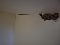 Review Image by Amazon Customer Amazon Customer