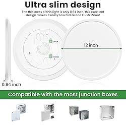 hepside 12Inch Flush Mount Light Fixture