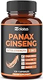 Zolotus Korean Red Panax Ginseng + Ginkgo Biloba