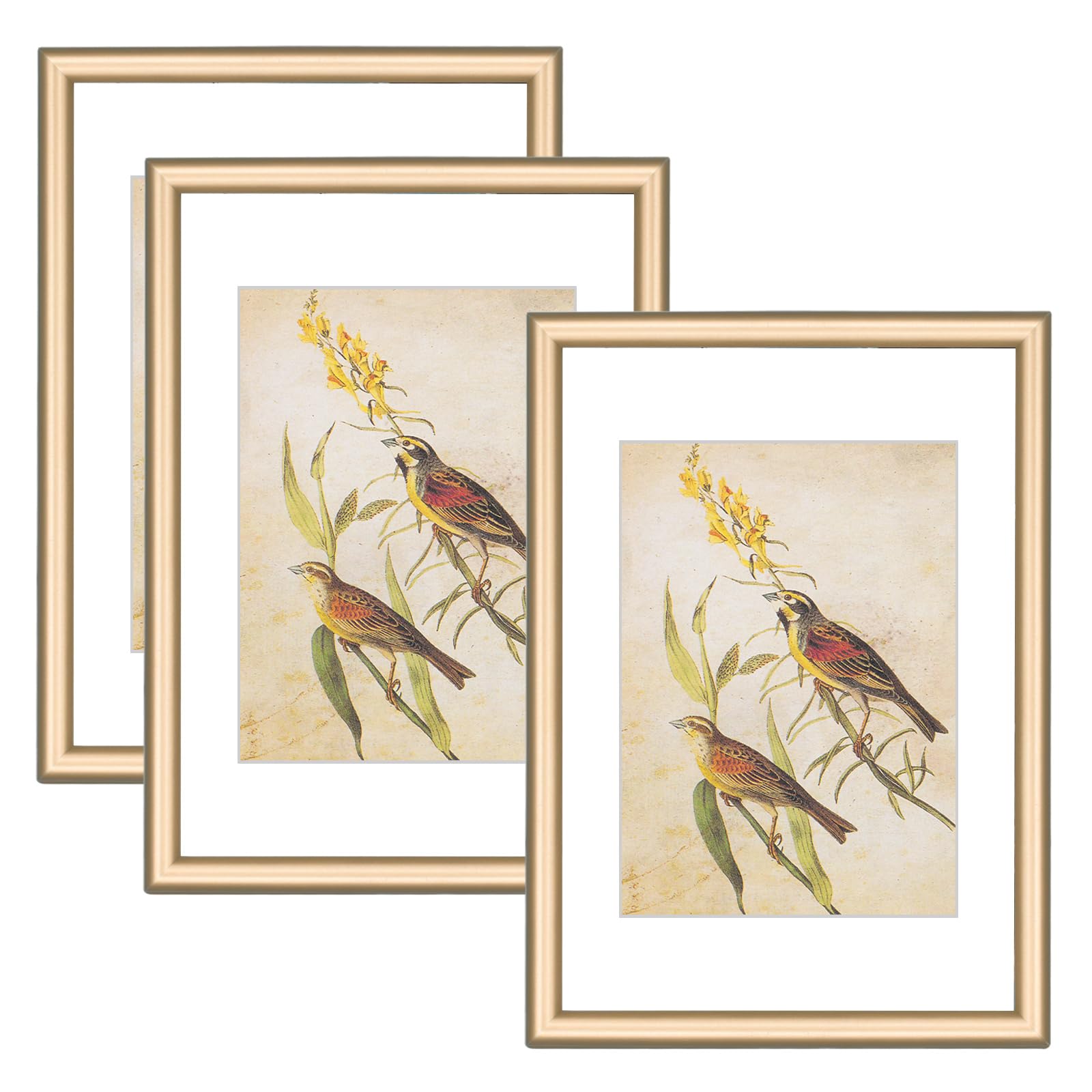 Photo 1 of 3.5x5 Picture Frame Set of 3, Matte Brass Modern Thin Aluminum Metal Photo Frame with HD Glass, Fits 2.5x3.5 with Mat or 3.5 x 5 without Mat, for Tabletop and Wall Mounting
