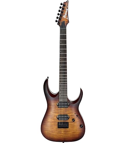 Amazon.com: Ibanez Standard RGA42EX Electric Guitar - Black Aurora