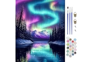 CEOVR Aurora Paint by Numbers Adult Kit, Starry Night Paint by Numbers on Canvas for Beginner, Peinture a Numero Adulte, Wall
