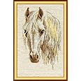 RIOLIS - Moon 827, Counted Cross Stitch Kit 9,45" x15,75, Horse Embroidery Kit, Cross Stitch Patterns for Adults with Horse, Cross Stitch Kits for Adults Advanced & Beginners