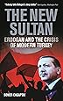 The New Sultan: Erdogan and the Crisis of Modern Turkey