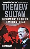 The New Sultan: Erdogan and the Crisis of Modern Turkey