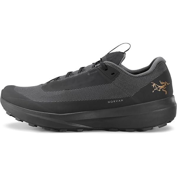 Amazon.com: Arc'teryx Norvan 4 Nivalis Shoe Men's - Adaptable