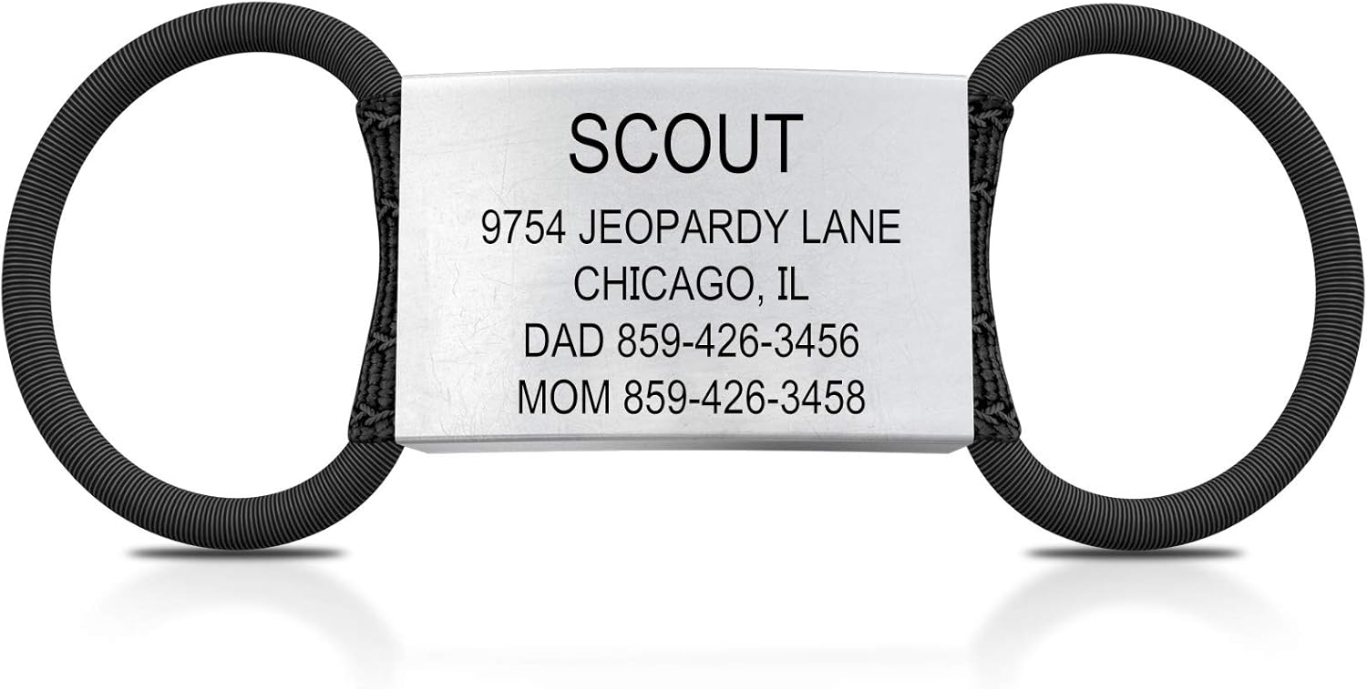 dogs that stay teacup size