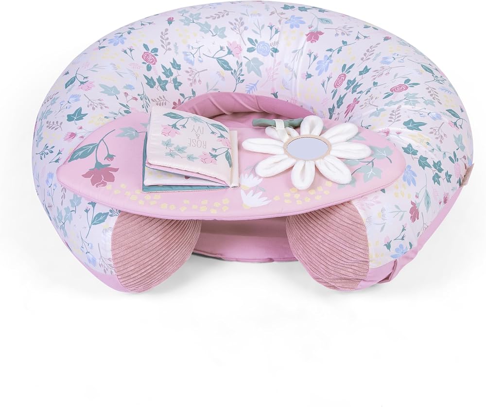 Red Kite Sit Me Up Inflatable Ring Rose & Ivy with Play Tray