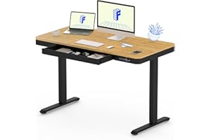 FLEXISPOT Comhar Electric Standing Desk with Drawer Desktop & Adjustable Frame w/USB Charge Ports (Bamboo Texture/Black, Wood)