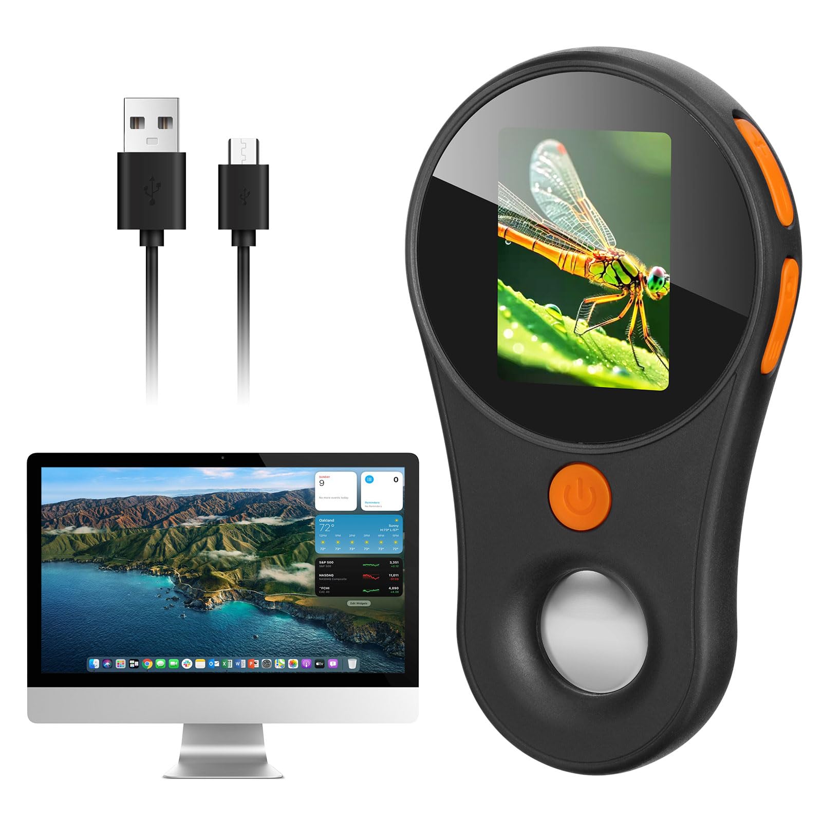 Macro Digital Microscope Fixed Focus, Portable