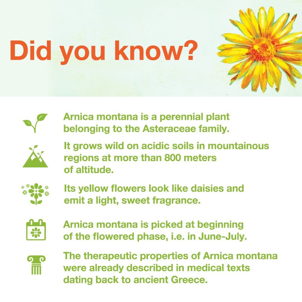 ARNICA NOMENCLATURE PDF