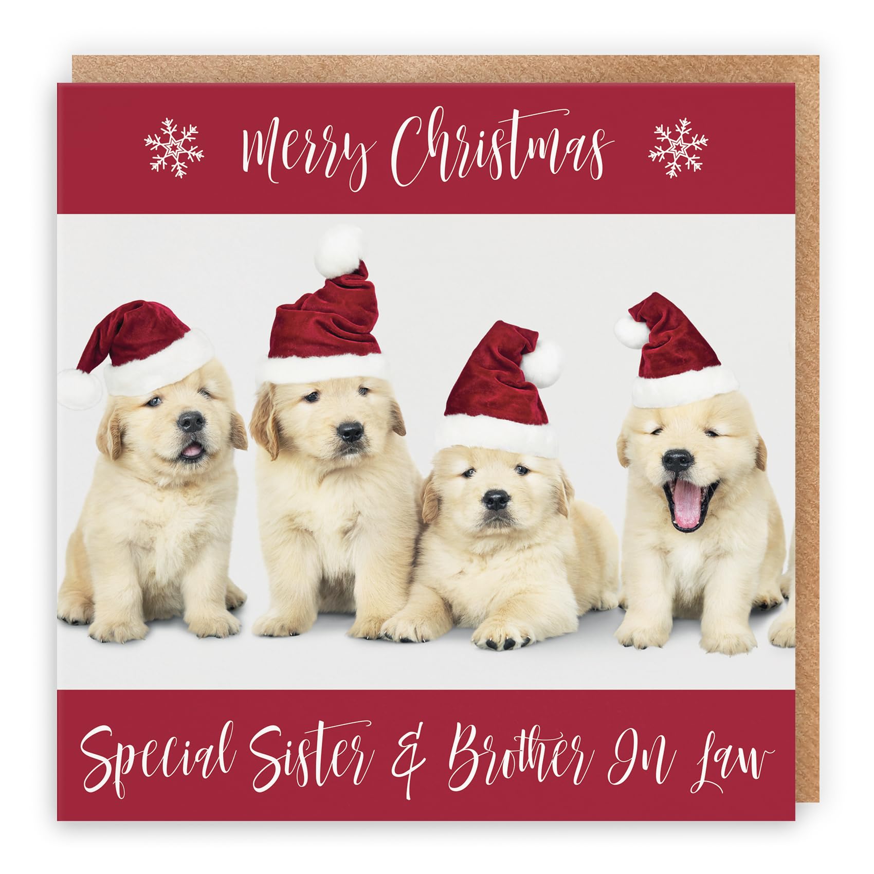 Hunts England - Sister And Brother In Law Christmas Card - Special Sister & Brother In Law - Puppy Collection - Fun Xmas Card