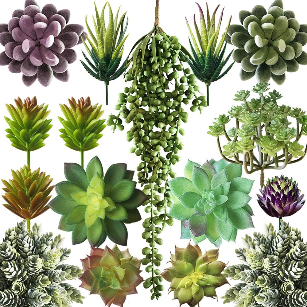 Plantas artificiales suculentas surtidas 15