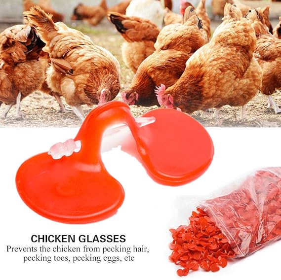 AZLZM 500Pcs Peepers Chicken Peepers Eye Glasses Pheasant