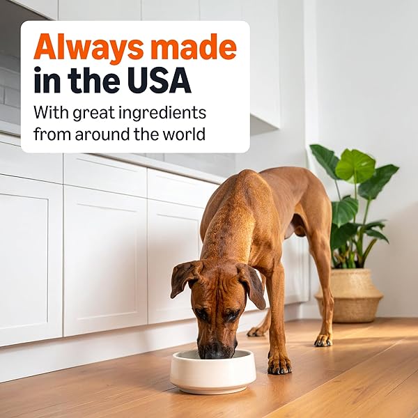 AMAZON BASICS WET DOG FOOD, CUTS IN GRAVY, RIBEYE FLAVOR, MADE WITH REAL CHICKEN AND BEEF, 13.2 OZ CAN (PACK OF 12)