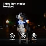 PetSol LED Dog Collar Blue USB Rechargeable Flashing Light Safety Collar view 4