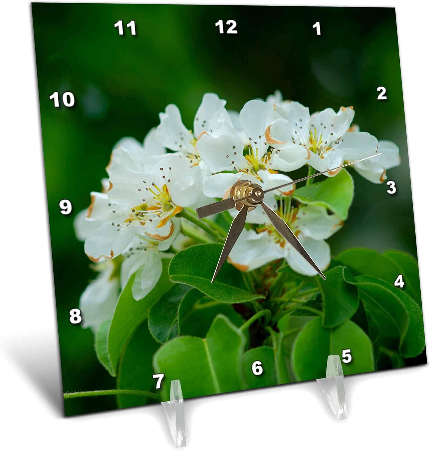 3dRose A Cluster of White crabapple Flowers, Green Leaves and Background - Desk Clocks (dc_341828_1)